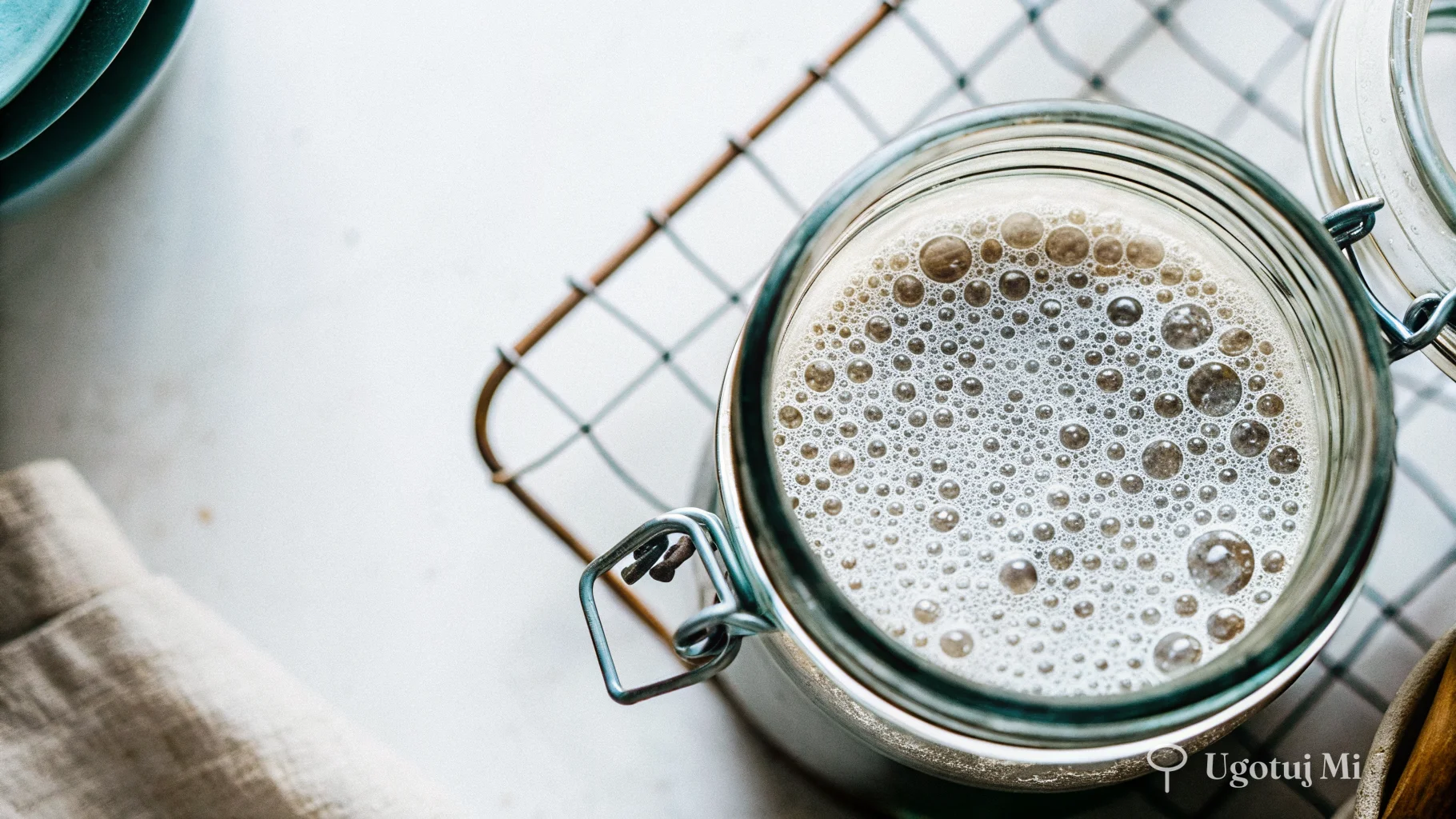 Zbliżenie na strukturę zakwasu – widoczne bąbelki i sieć glutenu | ugotujmi.pl